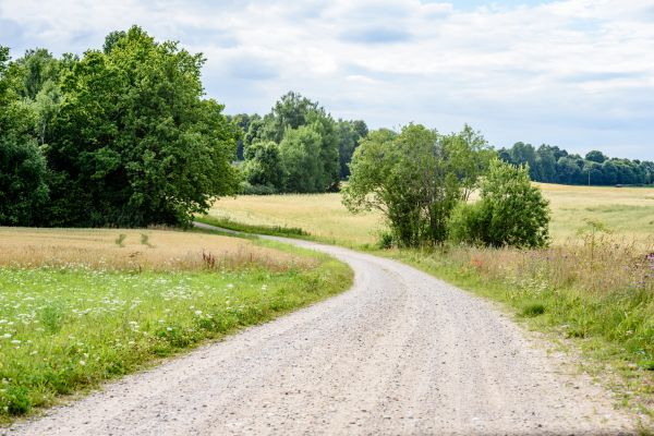 Stone Driveway Repair in Mount Vernon