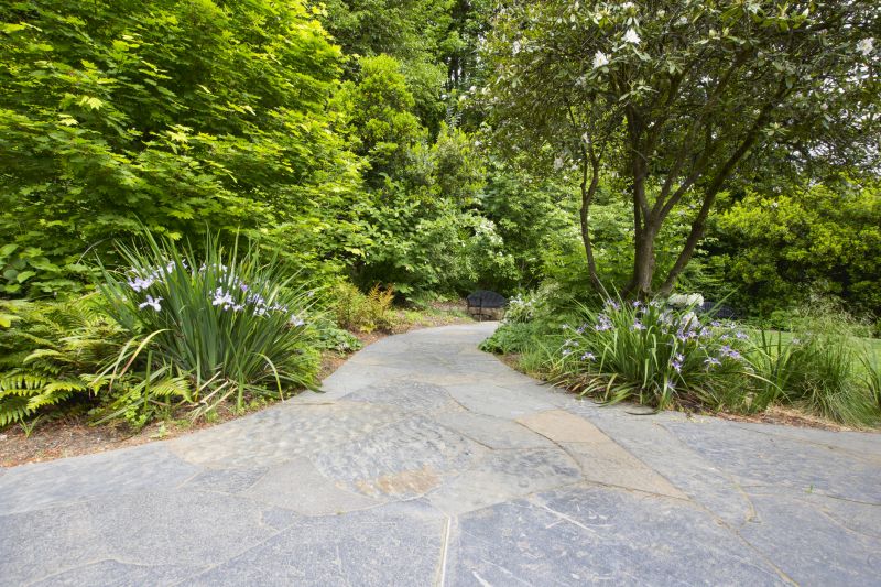 Decorative Paver Path